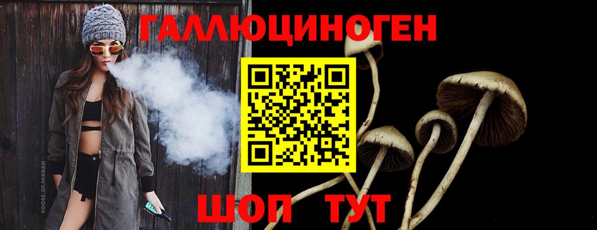 хочу   Галлюциногенные грибы мухоморы  Рубцовск  Вход с VPN  Псилоцибиновые грибы прущие грибы 